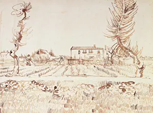Van Gogh Prints: Working the Fields at Arles; Laboureur dans les Champs a Arles