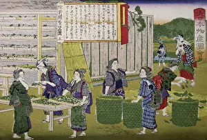 Japanese Prints: The Workplace 19th C. Artist Unknown Japanese Woodblock Print David David Gallery