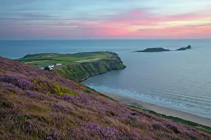 Peninsula Prints: Worms Head and Rhossili Bay with Heather-clad cliffs