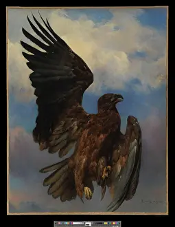 Wounded Prints: The Wounded Eagle. Marie-Rosalie (Rosa) Bonheur (France)