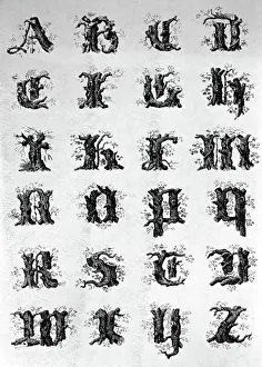 Letter Prints: writing alphabet initials made of wood by Joseph Balthazar Silvestre from 'Alphabet Album' Paris France 1843