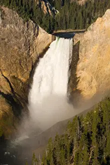 Public Prints: WYOMING, USA - Yellowstone River plunges 308 feet over Lower Falls