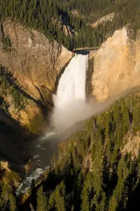 Public Prints: WYOMING, USA - Yellowstone River plunges 308 feet over Lower Falls
