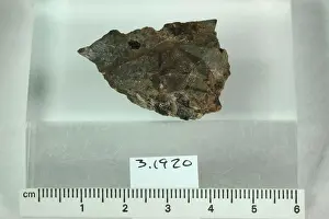 Mineral Prints: Xenotime. minerals. Europe; Norway; Tredestrand, near Sandio