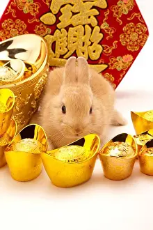 New Year Prints: Year of the rabbit, money and treasures will be plentiful