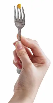 Supper Prints: yellow corn seed impaled on fork in female hand one yellow corn seed impaled on fork in female hand isolated on white