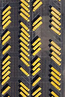 Diagonal Prints: Yellow school buses parked diagonally in parking lot