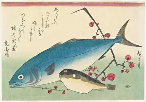 Woodblock Print Prints: Yellowtail, Blowfish, and Plum Blossoms