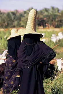 Middle Eastern Prints: Yemen, Wadi Hadramawt, Near Say'Un, Veiled Woman With Hat, Herding Goats