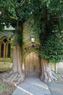 Gloucestershire Prints: Yew trees and door of St. Edward's Church
