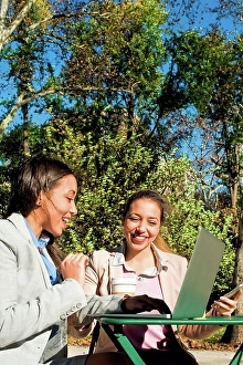 Consumer Electronics Prints: Young adult female twins typing on laptop in city park