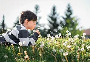 Soft Prints: Young boy laying on the grass blowing seeds off of a dandelion flower