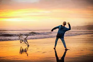 Domestic Dogs Prints: Young boy playing fetch with his dog on the beach at sunset