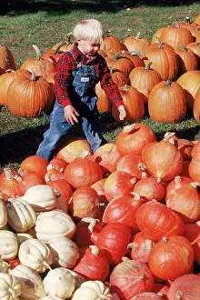 Maine Prints: Young Boy in Pumpkin Patch in Maine