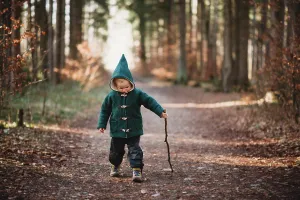 Sons Prints: Young child walking with a stick in the forest on a sunny Fall day