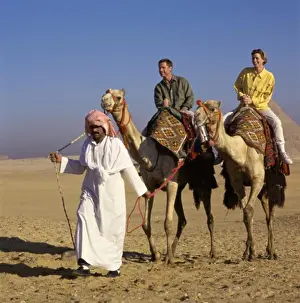 Medium Length Hair Prints: Young couple riding two camels leading by a Bedouin man, Giza, Egypt