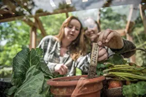 Adult Sonly Prints: Two young gardeners work in their greenhouse