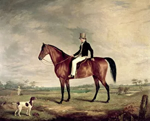 Jun07 Prints: A Young Gentleman In A Grey Hat On A Bay Hunter Abraham Cooper (1787-1868 British)