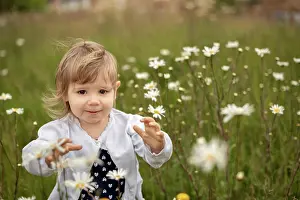 1 2 Years Old Prints: A young girl running to the camera through the daisy field