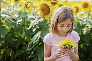 8 10 Years Old Prints: Young girl in sunflower field smiling at her picked sunflower