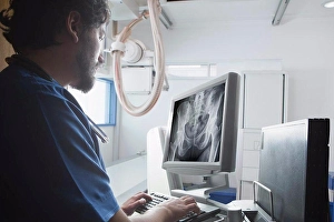 Radiograph Prints: Young male radiographer looking at Xray of pelvis in radiology department