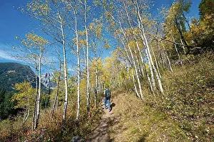 Mountain Chain Prints: Young man on the hiking trail to Taggart Lake