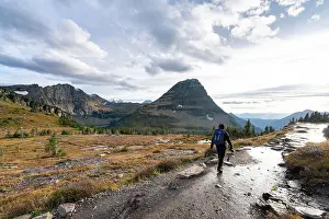 Montana Prints: A young man walking on the path at Logan Pass with the amazing mountain in the background