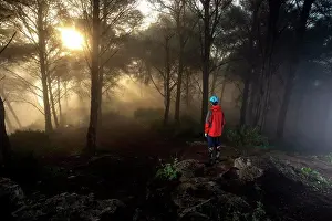 Woods Prints: Young mountain biker in a beatiful foggy morning in Spain