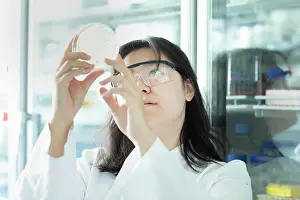 Devices Prints: young scientist female controlling a petri dish
