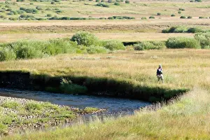 35 Years Prints: Young woman fly fishing the West Fork of the Carson River in Hope Valley Lake Tahoe