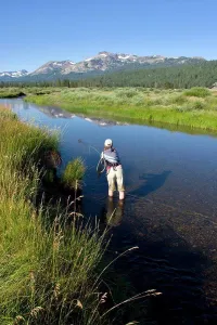 35 Years Prints: Young woman fly fishing the West Fork of the Carson River in Hope Valley Lake Tahoe