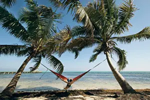 Blondehair Prints: A Young Woman in a hammock is framed by two palm trees