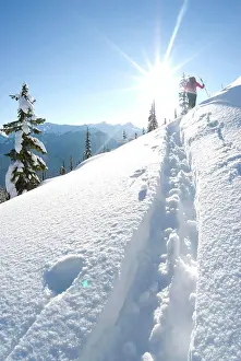 Skier Prints: A young woman skier climbs up Corbin Pass near Revelstoke, British Columbia