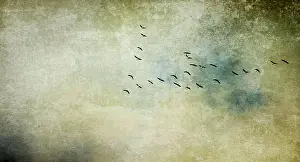 2018 Prints: ziehende vögel textur konzept Vögel Kraniche auf dem Flug in Formation