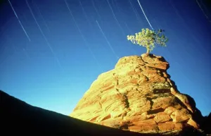 Non Urban Prints: Zion National Park Utah USA