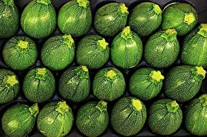 Vegetables Prints: Zucchini (Cucurbita pepo ssp. pepo convar. giromontiina), sorted