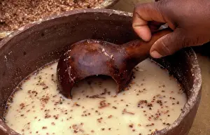 Beer Prints: Zulu beer making. Scooping sorgum mixture into a calabash