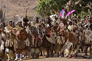 Ceremony Prints: Zulu men in traditional dress at the Zulu Reed Dance